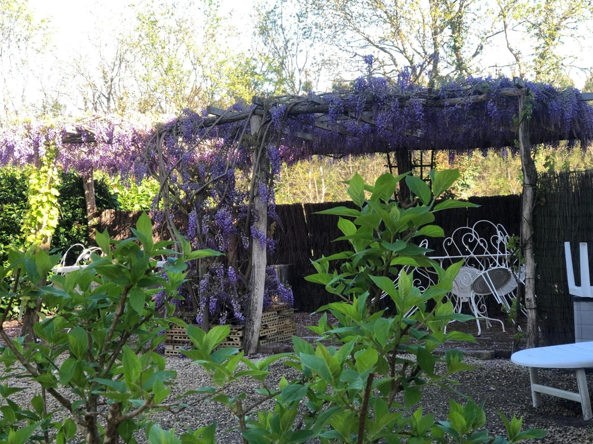 Solférino La Maison Des Ateliers מראה חיצוני תמונה
